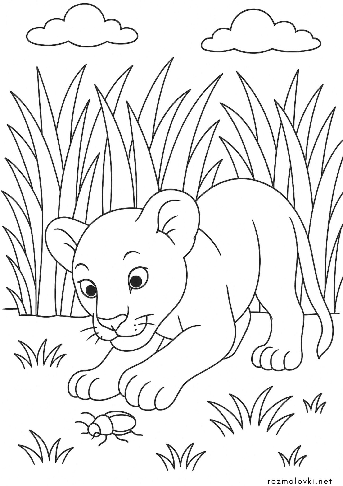 The Lion King